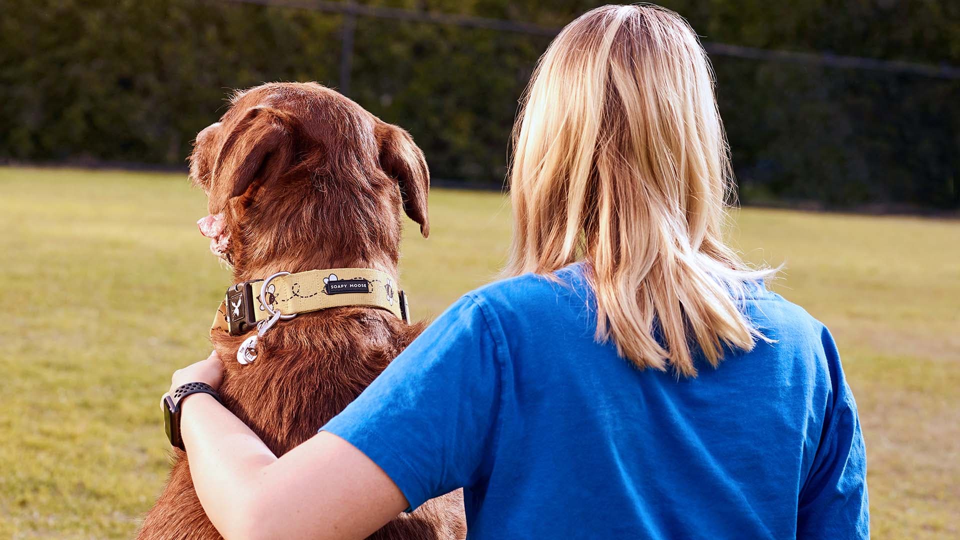A cropped, over-the-shoulder view of a person with blonde hair, wearing a blue t-shirt, who is gently hugging a large brown dog. The dog is looking away from the camera, and its yellow collar with a bee pattern is visible.