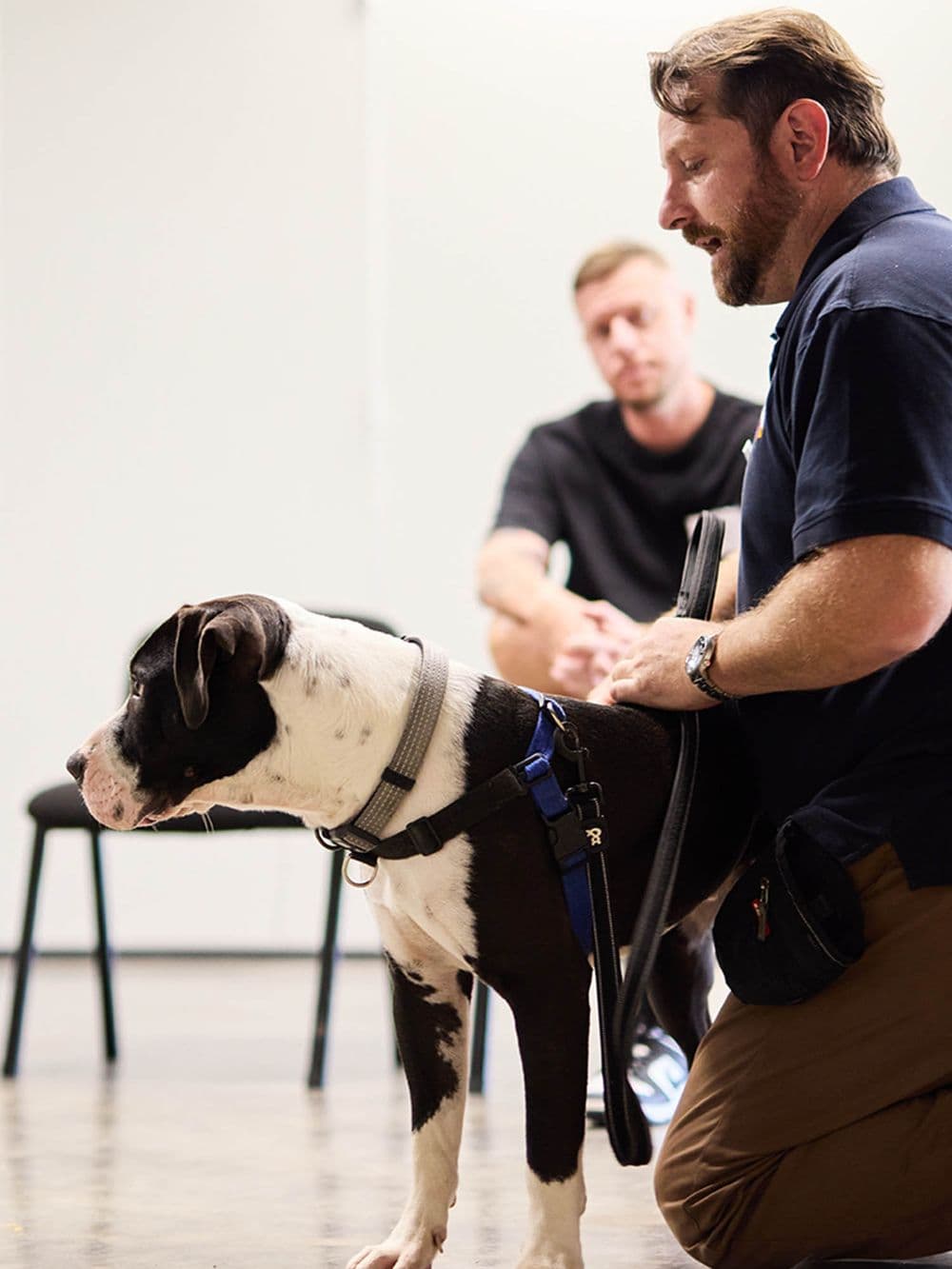 A man with a beard, identified as Trainer Justin, is kneeling on the floor next to a large black and white dog wearing a harness. He is holding the dog's leash and looking down at it. Another person is sitting on a chair in the background.