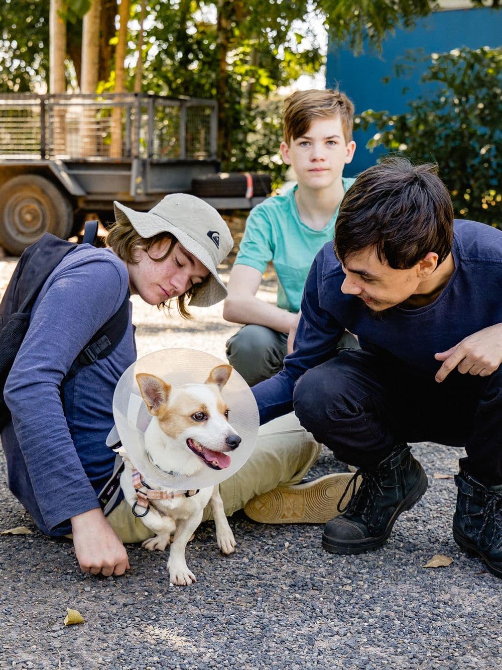Three young people kneel on a gravel ground, interacting with a small white and tan rescue dog wearing a large white cone around its head. A boy in a blue shirt smiles at the dog while another boy in a bucket hat gently pets it. A third boy in a green shirt kneels behind them, looking on.