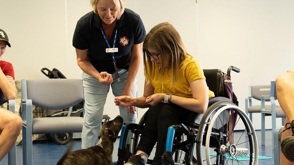 A young woman with glasses, seated in a wheelchair, is in a room with a woman identified as Trainer Louise. The young woman is looking down, holding her hand out to a small brindle-colored puppy on the floor. The trainer stands next to her, also watching the interaction.