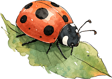 Illustration of a ladybug on a leaf